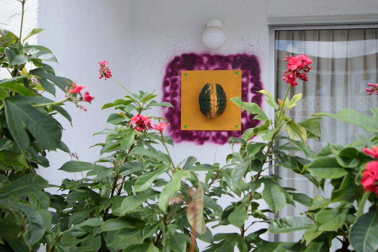 Nettie'S Different Of Nassau Casuarina'S Hotel Exterior foto